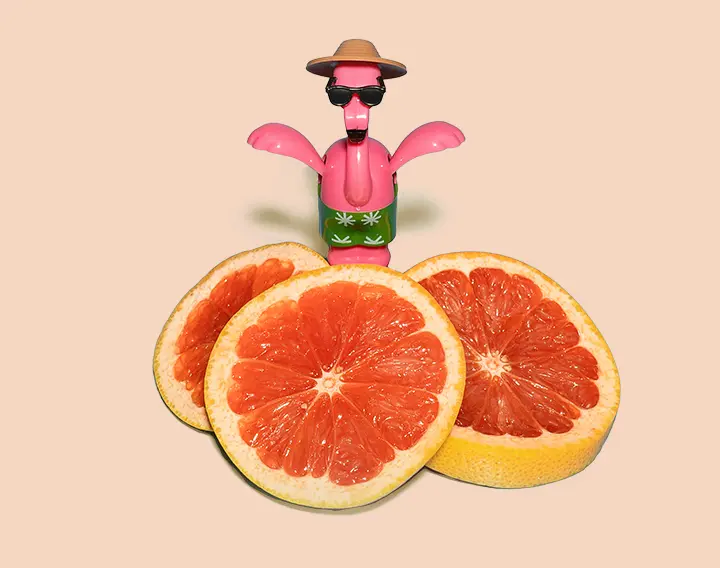 Grapefruit slices and flamingo
