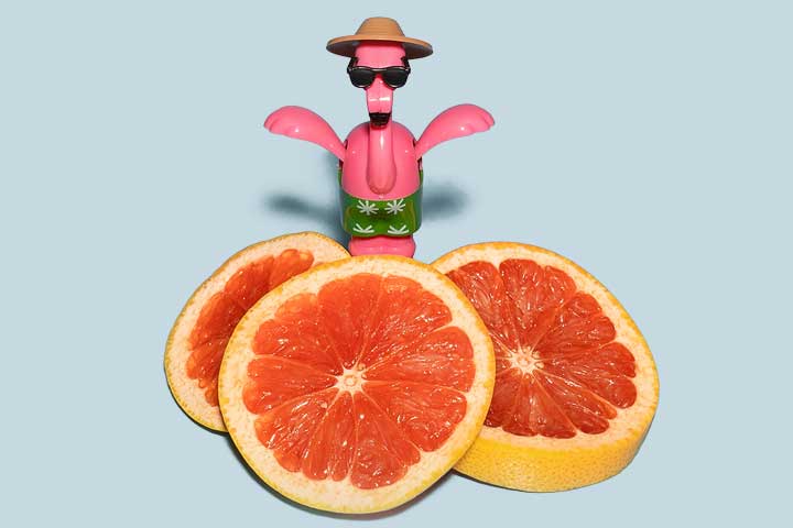 Grapefruit slices and flamingo